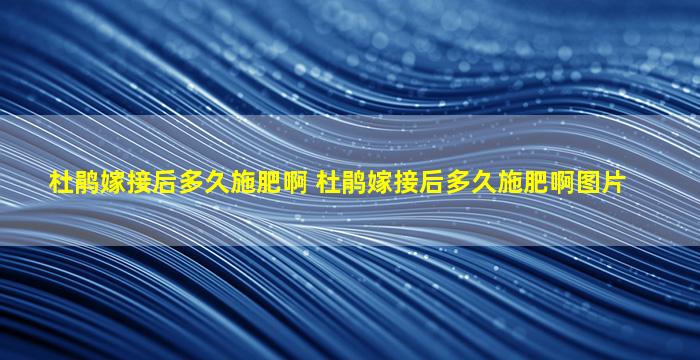 杜鹃嫁接后多久施肥啊 杜鹃嫁接后多久施肥啊图片